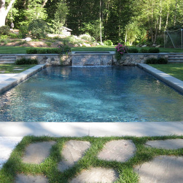 Pool with Raised Spa