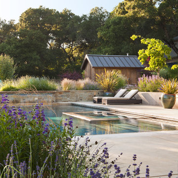 Pool with Spa
