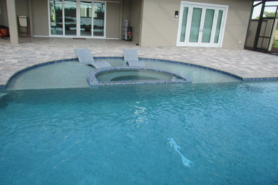 Inspiration for a pool remodel in Tampa