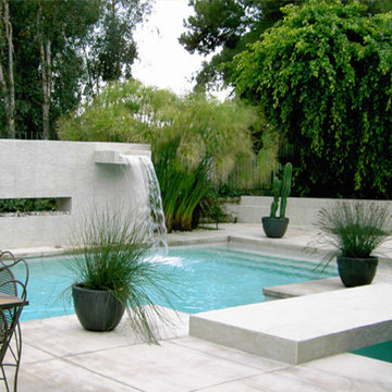 Pools & Spas