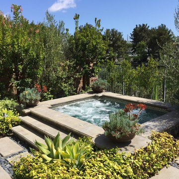 Pools & Spas