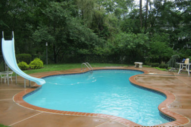 Immagine di una piscina naturale personalizzata di medie dimensioni e dietro casa con pavimentazioni in pietra naturale