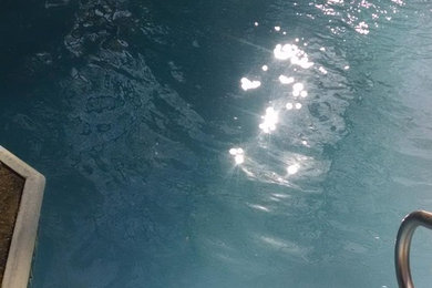 Cette photo montre une piscine arrière sur mesure avec des pavés en béton.