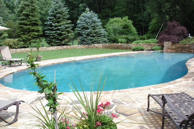 Imagen de piscina clásica a medida en patio trasero con adoquines de piedra natural