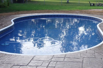 Ejemplo de piscina natural de tamaño medio a medida en patio trasero con adoquines de piedra natural