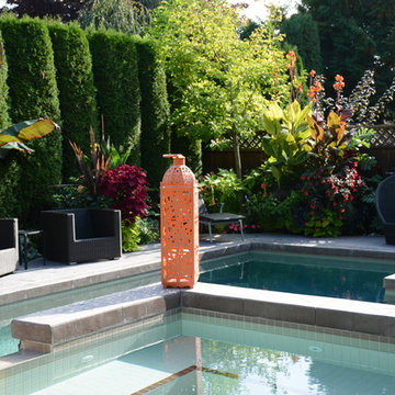 Poolside Garden and Containers