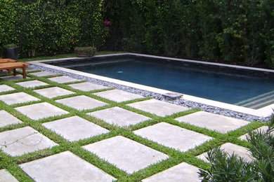 This is an example of a modern swimming pool in New Orleans.