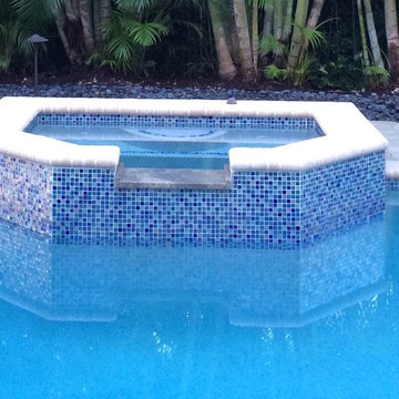 Project Management Concierge - Pool renovation and weekly maintenance