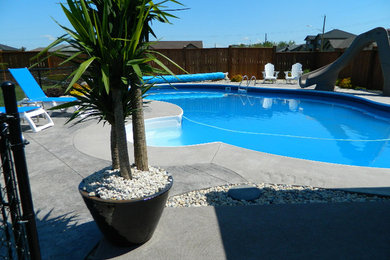 Modelo de piscina con tobogán natural de tamaño medio a medida en patio trasero con adoquines de hormigón