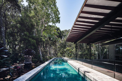 Rainforest pool