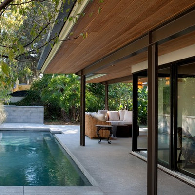 Example of a trendy rectangular pool design in Tampa