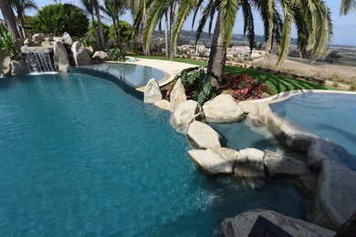 Pool - large tropical backyard custom-shaped natural pool idea in San Diego