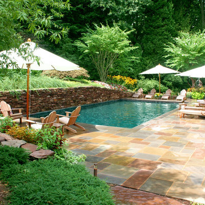 Inspiration for a timeless rectangular pool remodel in DC Metro