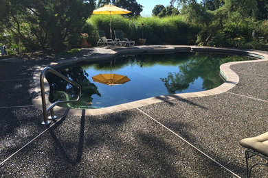 Pool - mid-sized tropical backyard custom-shaped pool idea in Philadelphia