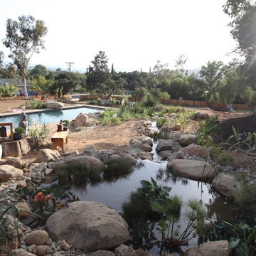 Regeneration Zone and flowing stream