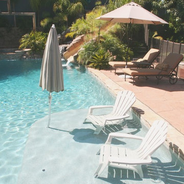 Remodel Tropical back yard