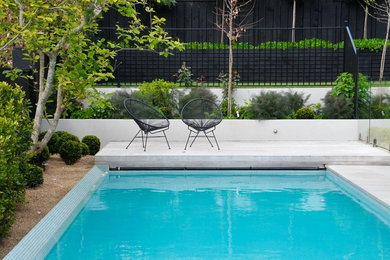 Ispirazione per una grande piscina fuori terra contemporanea rettangolare dietro casa