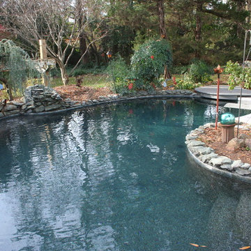 Renovation Pool