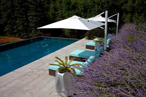 Modern Pool by Peter A. Sellar - Architectural Photographer