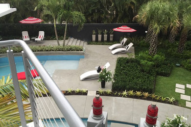 Moderner Pool in Miami