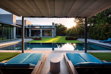 Photo of a modern back rectangular lengths swimming pool in Dallas.