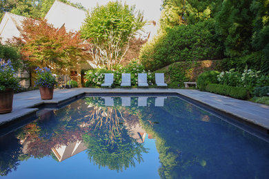 Ejemplo de piscina tradicional rectangular en patio trasero con adoquines de piedra natural
