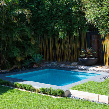 Roseville - Plunge Pool