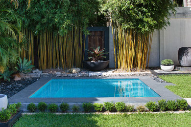 Cette photo montre une petite piscine arrière moderne rectangle avec des pavés en béton.