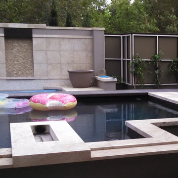 Sacramento Modern Pool, Patio & Wall