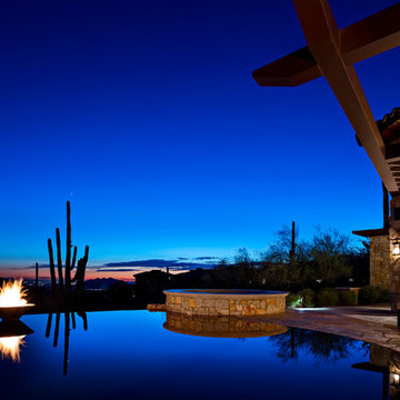 Saguaro Forest Contemporary