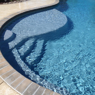 Salisbury Township custom pool with waterfall and sunshelf