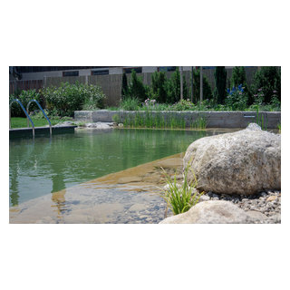 Schwimmteich Traditional Pool Stuttgart by Gärten von Daiß Houzz