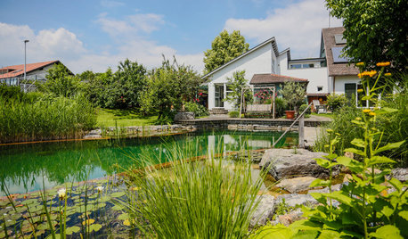 Jardín de la semana: Una piscina natural junto al lago Constanza