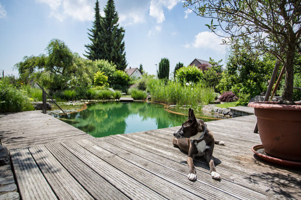 Clásico Piscina by Helmut Haas GmbH