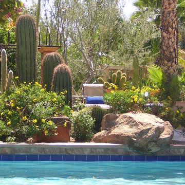 Scottsdale, Arizona Southwestern Style Pool Outdoor Living