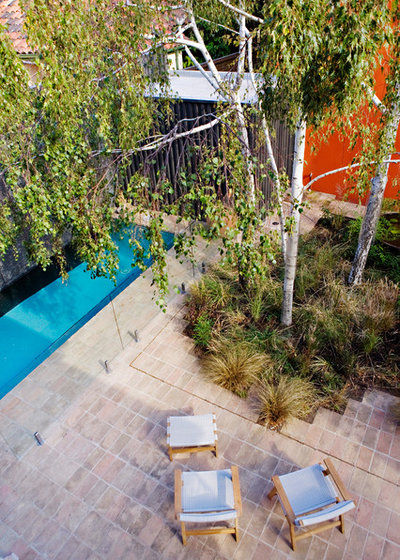 Contemporary Pool by Eco Outdoor AUS