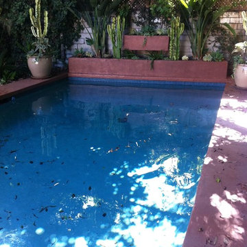 Shaded Pool Hollywood Hills