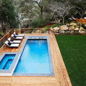 Modern Backyard