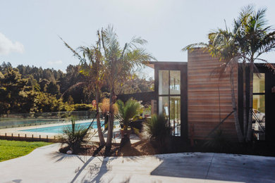 Modelo de piscina actual grande rectangular en patio delantero con adoquines de piedra natural