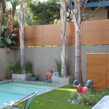 Back patio