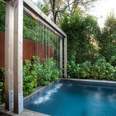 Example of a trendy rectangular pool design in Toronto
