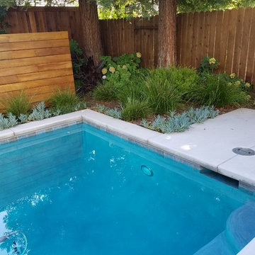 Small Modern Pool