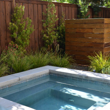 Small Modern Pool