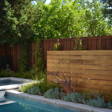 Small Modern Pool