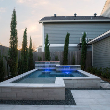 Small Pool/Spa and Landscape