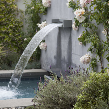 Small-Space Garden, Santa Monica