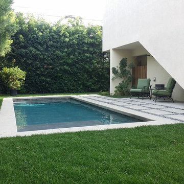 Small Yard Pool | West Hollywood