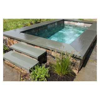 Soake Plunge Pool - Traditional - Pool - Boston - by Soake Pools | Houzz