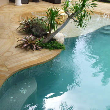 South Florida landscaping and pool patio