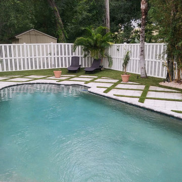 South Tampa Pool Design